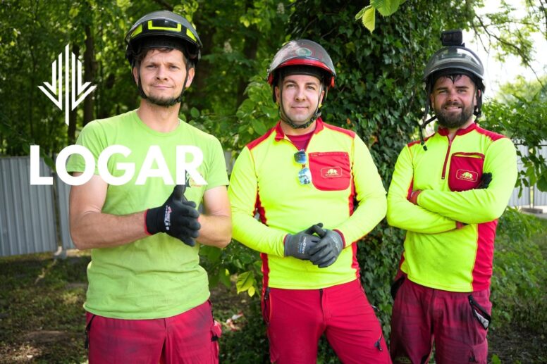 Wycinka oraz Pielęgnacja drzew Sucha Beskidzka oraz Bielsko Biała