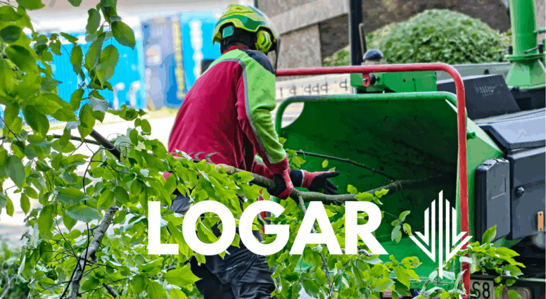 cena wycinki drzew małopolska