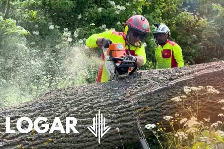 Złamane drzewo odpowiedzialność