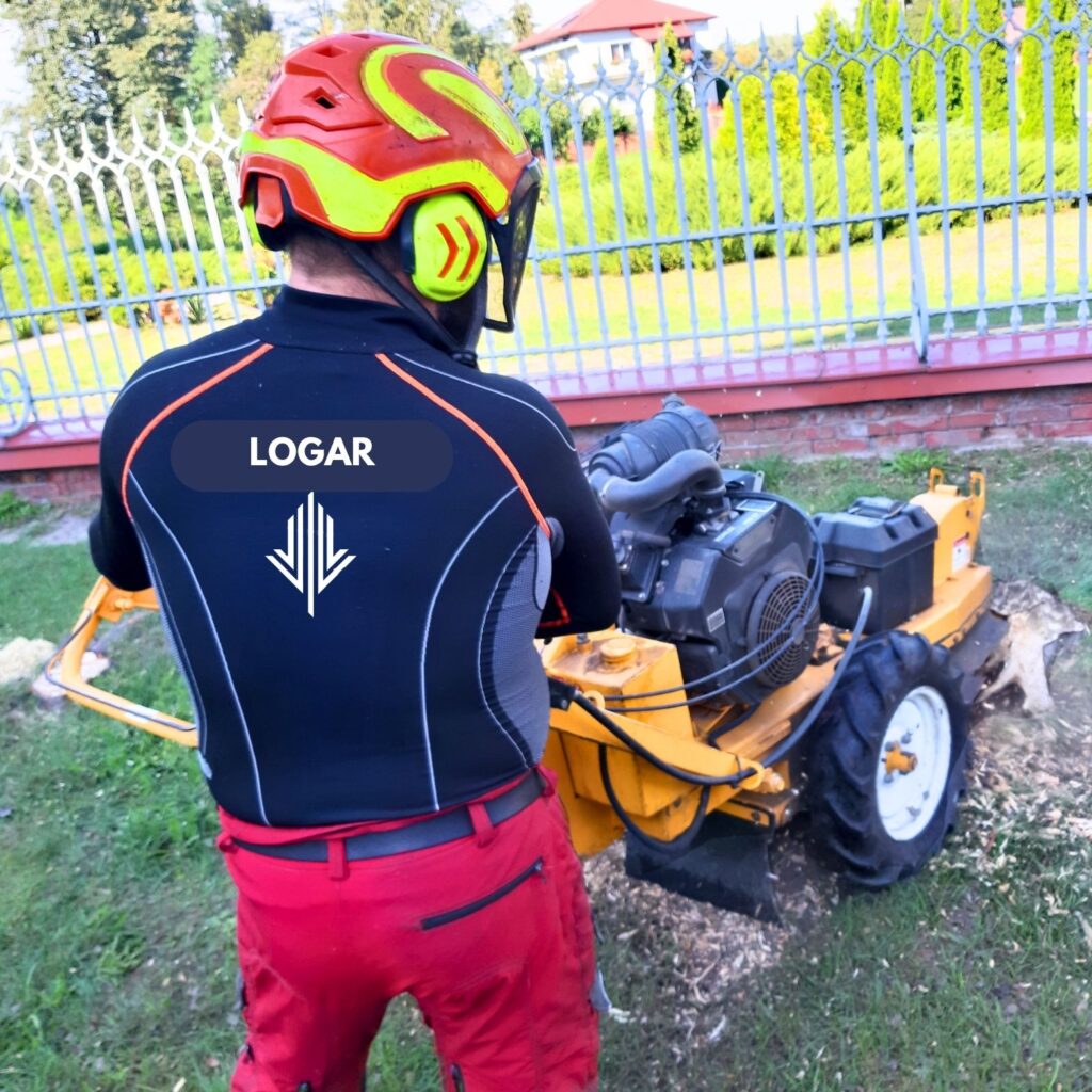 Frezowanie pni drzew. usuwanie pniaków, karczowanie pni