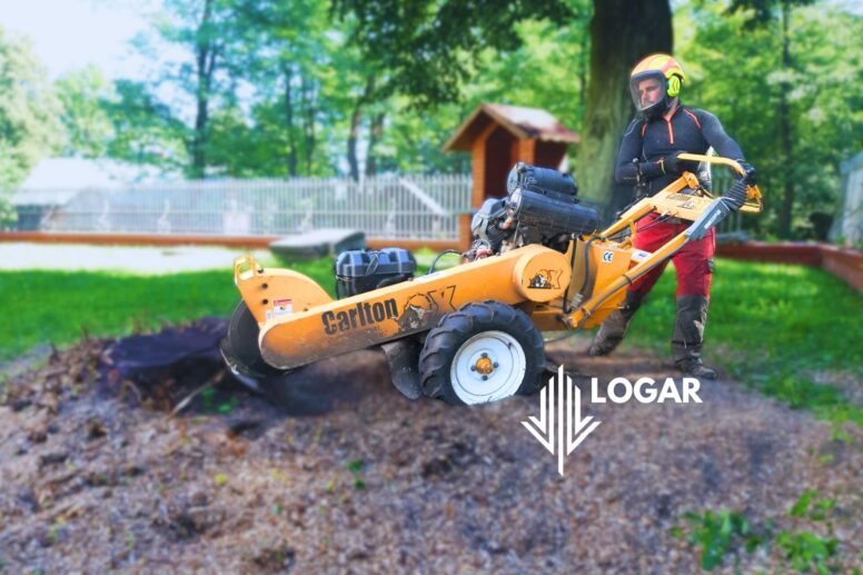 Frezowanie pnia po wycince drzewa