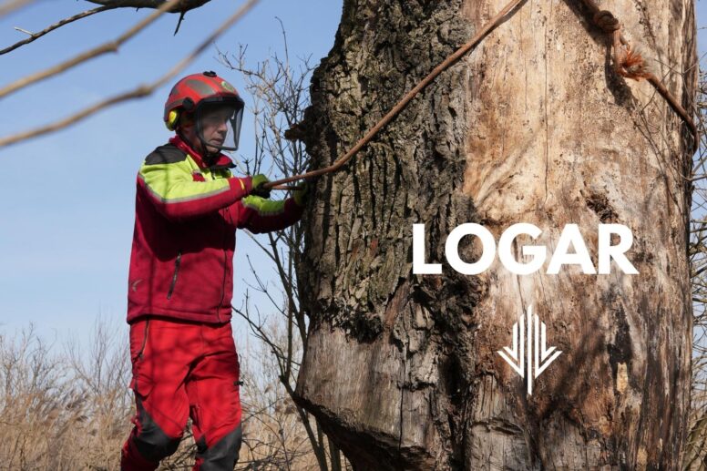 pogoda w polsce burze, zmiana klimatu, połamane drzewa